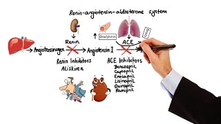 Pharmacology  HYPERTENSION amp ANTIHYPERTENSIVES MADE EASY [upl. by Ycniuqed]