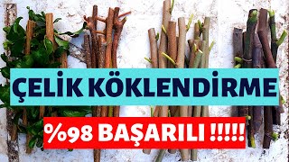 ÇELİK KÖKLENDİRME NASIL YAPILIR � BAŞARILI [upl. by Cordalia655]