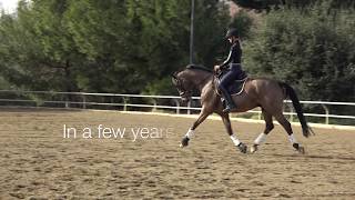 How to develop the quotsecondquot trot [upl. by Lavina]