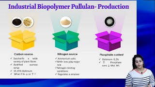 Pullulan Industrially Important Biopolymer Exopolysaccharide Structure amp Industrial Production [upl. by Ennybor]