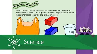 Osmotic Pressure [upl. by Sallie]