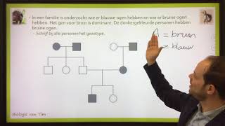 Biologie van Tim  Stambomen [upl. by Ivory132]