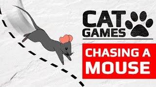 CAT GAMES  🐭 CHASING A MOUSE ENTERTAINMENT VIDEOS FOR CATS TO WATCH 60FPS [upl. by Bowra]