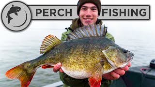 Catch more PERCH with these tips and tricks [upl. by Ahtnamys]