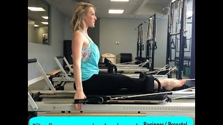 Pilates Reformer Workout Beginner Friendly [upl. by Pimbley]