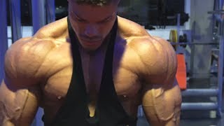 DELTOID Workout for BIG FULL Shoulders  Wes amp Wes [upl. by Ailed687]