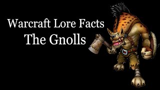 Warcraft Lore Facts  The Gnolls [upl. by Idnerb]