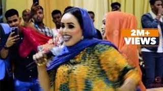 SHAADIYO SHARAF BEST HIT MUSHUP SHOWGA QARNIGA ISMAACIIL AARKA 2021 [upl. by Ardnassak]