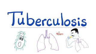 Tuberculosis TB  The Most Comprehensive Explanation  Respiratory Pathology  Pulmonology Series [upl. by Komara]