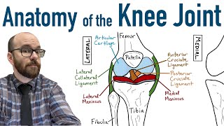 How To Rehab A Lateral Ankle Sprain [upl. by Brandwein925]