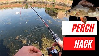 How to catch Perch  The EASY way [upl. by Anaeli27]