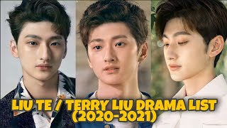 LIU TE  TERRY LIU 刘特 DRAMA LIST 20202021 [upl. by Aeynod]