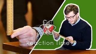 Reaction Time  GCSE Science Required Practical [upl. by Puritan694]