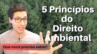 5 Princípios do Direito Ambiental  Você sabia do quinto princípio [upl. by Adnael]