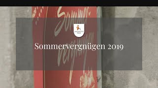 Sommervergnügen Landgestüt Celle 2019 [upl. by Behka]