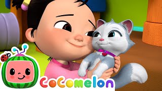 Cece Had a Little Cat  CoComelon Nursery Rhymes amp Kids Songs [upl. by Charo689]