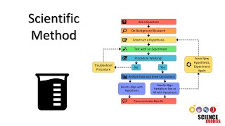 The Scientific Method Steps and Examples [upl. by Yurt]