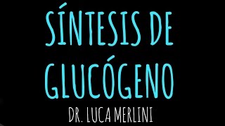 Síntesis de Glucógeno [upl. by Annahvas226]