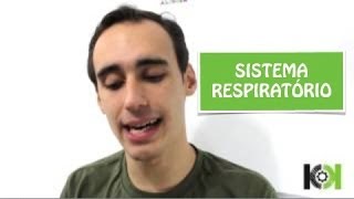 Fisiologia Animal  Sistema Respiratório [upl. by Wardieu]