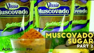 How to extract sugar cane  Muscovado sugar Part 2 Agriculture [upl. by Akira807]