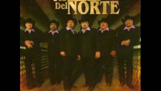 Los Rieleros Del Norte  Te Quiero Mucho [upl. by Annaeg811]