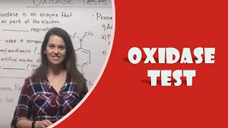 Oxidase Test [upl. by Allenrac313]