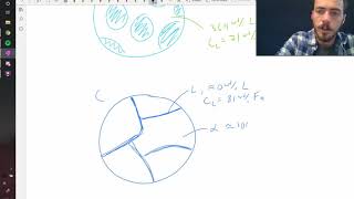 Drawing simple microstructures using the lever rule [upl. by Ialohcin14]