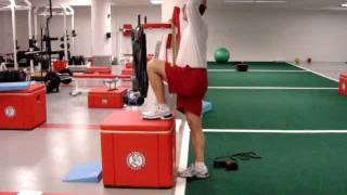 Psoas Iliacus Strengthening Exercises [upl. by Otsirc]