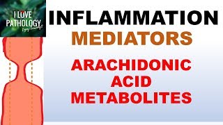 INFLAMMATION Part 5 Chemical Mediators ARACHIDONIC ACID METABOLITES [upl. by Jasmine]