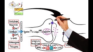 Pharmacology  DRUGS FOR PARKINSONS DISEASE MADE EASY [upl. by Annatsirhc]