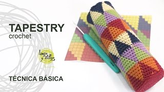 Tutorial Tapestry Jacquard Crochet o Ganchillo Técnica Básica [upl. by Roe50]