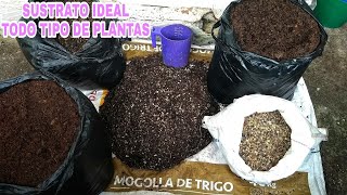 Preparando El Mejor SUSTRATO Para TODO Tipo De PLANTAS [upl. by Agnimod]