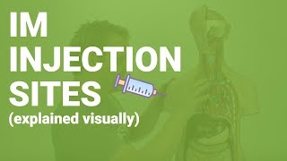 HOW TO GIVE IM INJECTIONS  sites considerations nursing care for nurses [upl. by Pansie]