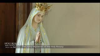 Catholic Daily Mass  Daily TV Mass  November 7 2022 [upl. by Refiffej]