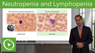 Quantitative WBC Disorders Leukocytosis amp Leukopenia – Pathology  Lecturio [upl. by Okir]