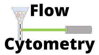 FLOW CYTOMETRY in 1 minute [upl. by Albarran]