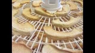 How to Dehydrate Apples [upl. by Lundt]