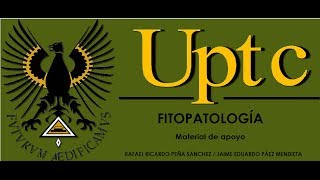 RECONOCIMIENTO DE NEMATODOS FITOPATÓGENOS [upl. by Byran]