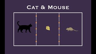 Cat amp Mouse Game [upl. by Kire]