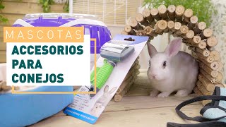 Accesorios para tu conejo  Mascotas en VERDECORA [upl. by Nevai]