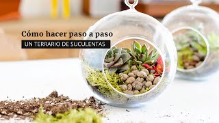 Cómo hacer un terrario de suculentas [upl. by Aerona]