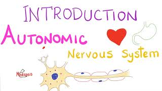 Autonomic Nervous System [upl. by Abbott]