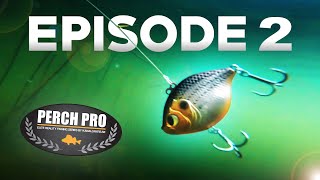 PERCH PRO 7  Episode 2 [upl. by Lorre648]