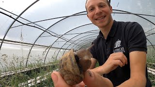 Escargots 🐌 Eating French Food at a Snail Farm [upl. by Caspar]