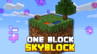 Minecraft Skyblock But You Only Get ONE BLOCK [upl. by D'Arcy]