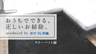 プロが解説！洗わずに絨毯・カーペットをお掃除する方法｜おうちでできる、正しいお掃除。 [upl. by Yartnod793]