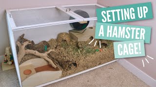 How to Setup a Hamster Cage [upl. by Macswan]