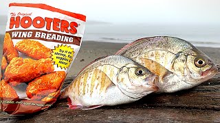 SURF PERCH Catch amp Cook  HOOTERS Style Washington Coast [upl. by Arihsaj]