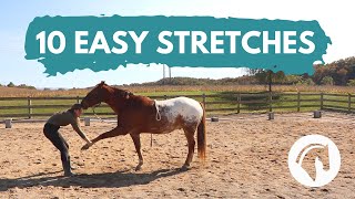 HOW TO STRETCH A HORSE 10 Easy Horse Stretches [upl. by Aciraa722]