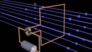 Magnetic Forces and the DC Electric Motor [upl. by Nielson234]